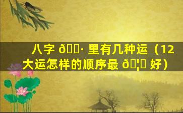 八字 🕷 里有几种运（12大运怎样的顺序最 🦟 好）